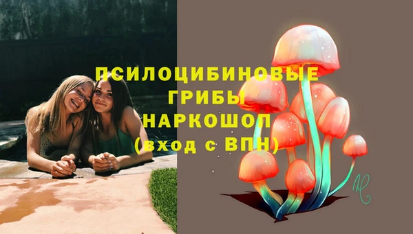 прущая мука Тайга