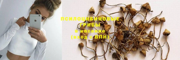 ешки Тавда