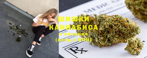 МДПВ Гусиноозёрск