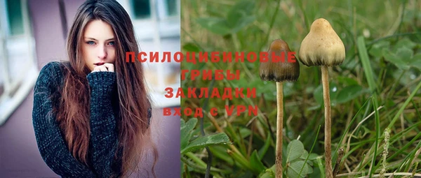 крисы Гусев