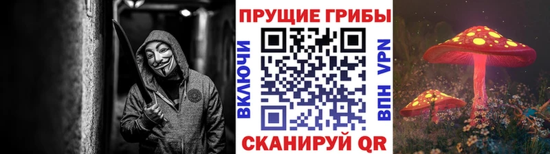 Галлюциногенные грибы прущие грибы  Нурлат 