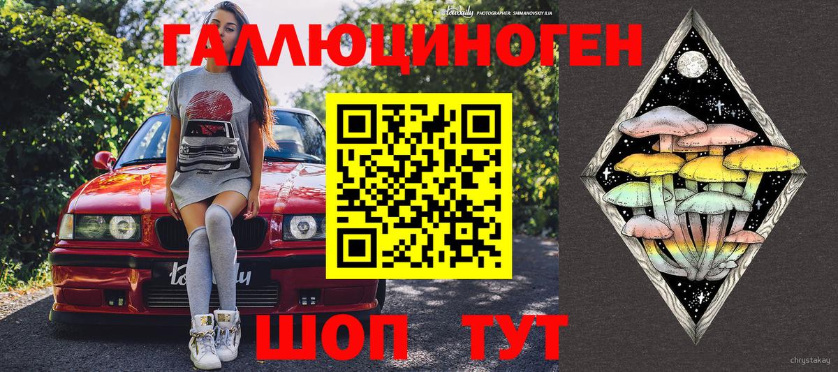 Псилоцибиновые грибы Cubensis Нурлат