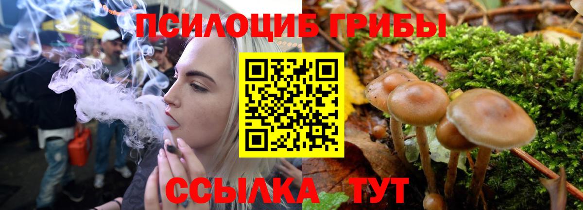Псилоцибиновые грибы GOLDEN TEACHER  Псилоцибиновые грибы прущие грибы  Вход с VPN  Нурлат 