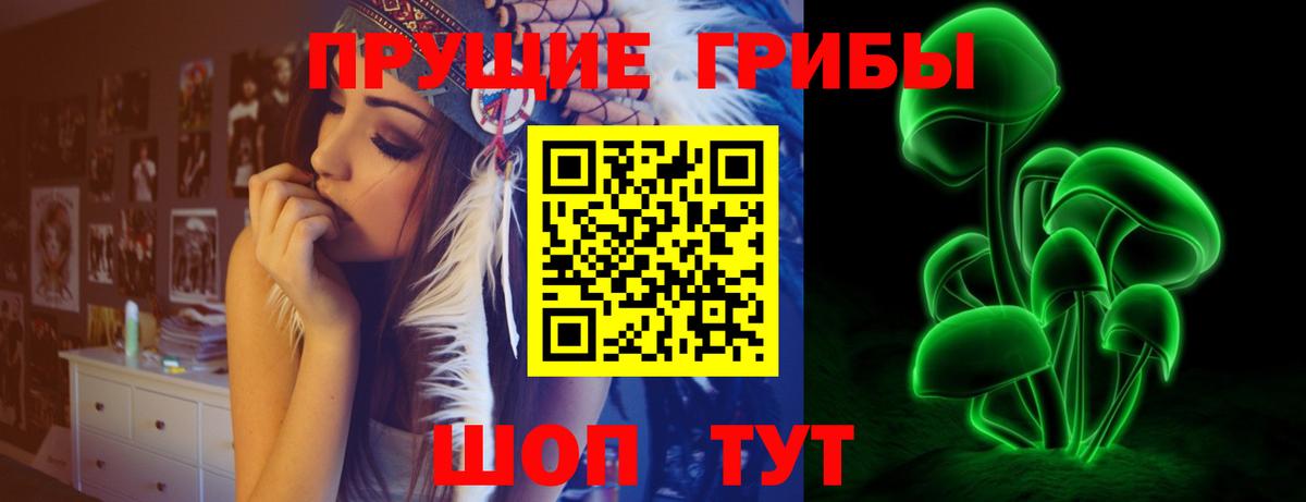 Галлюциногенные грибы Psilocybe  Нурлат 